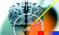 Your brain can heat up to 41 degrees Celsius if you think a lot