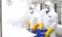 Zika virus can cross each other maternity