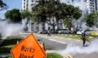 Zika virus in Singapore can evolve from the strain 60 years ago