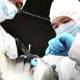 China successfully prepared the vaccine against H7N9