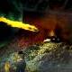 NASA experts reveal warning signs of the end of the world
