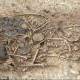 The shocking truth in the ancient tomb was found in Poland